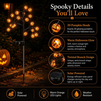 Solar Pumpkin Pathway Lights